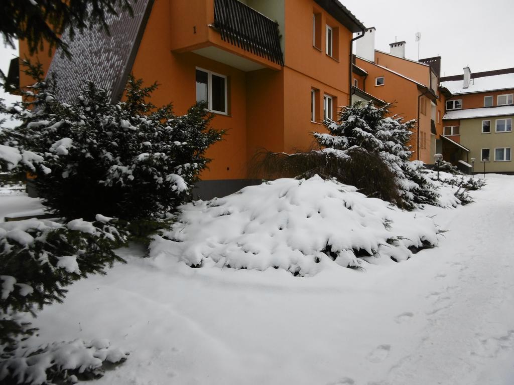 Apartament U Janusza Nowy Targ Ngoại thất bức ảnh