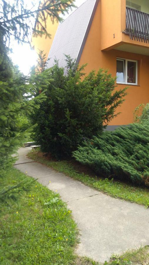 Apartament U Janusza Nowy Targ Ngoại thất bức ảnh